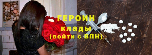 СК Бердск