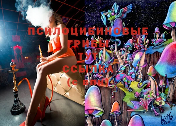 экстази Арсеньев
