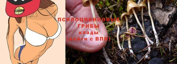 экстази Арсеньев