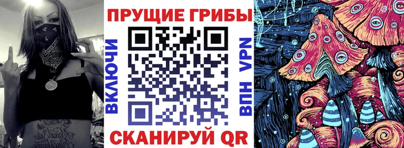 Галлюциногенные грибы прущие грибы Бакал